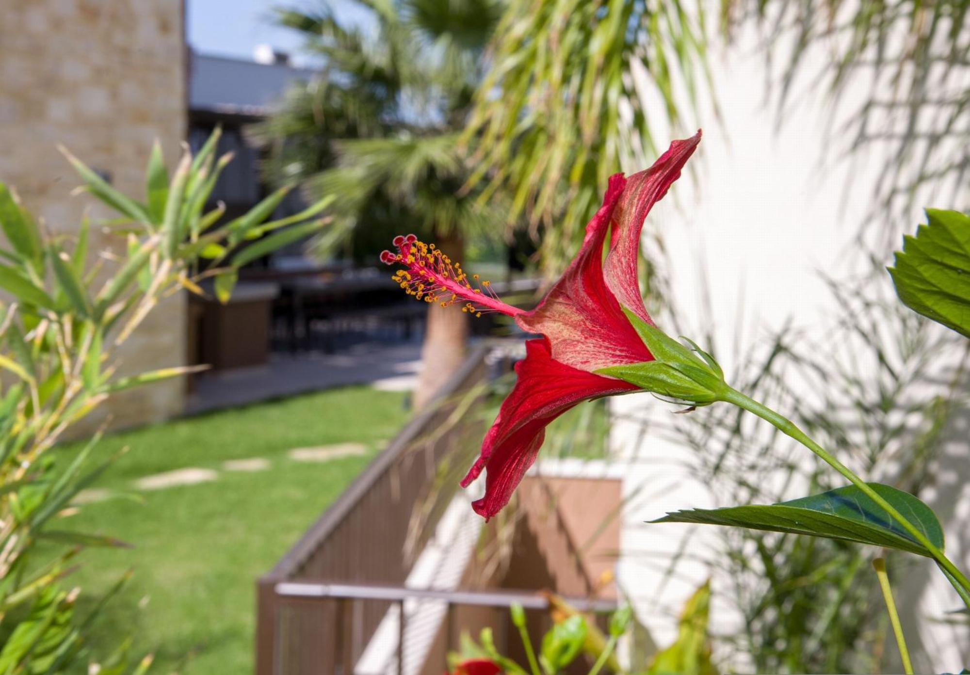 Almi-Cove Hilltop Villas Almyrida  Bagian luar foto